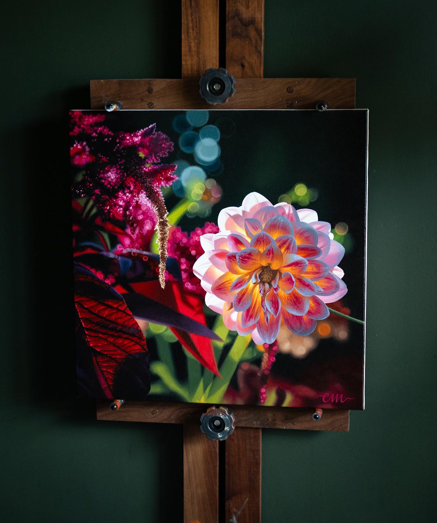 Dahlia Afterglow