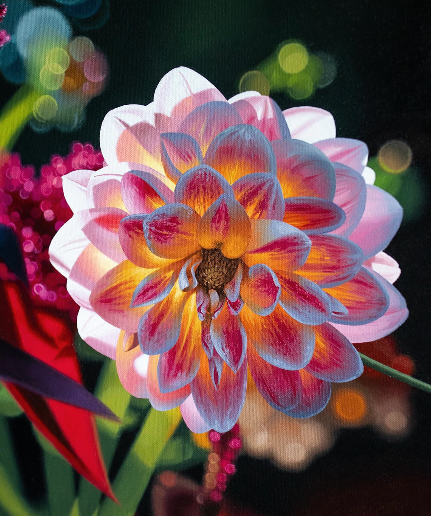 Dahlia Afterglow