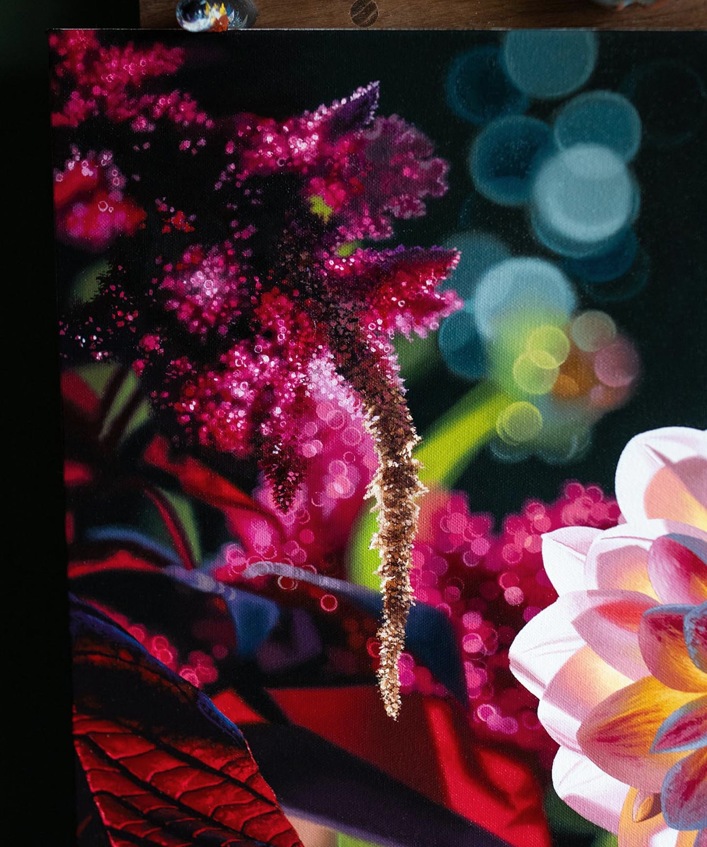 Dahlia Afterglow
