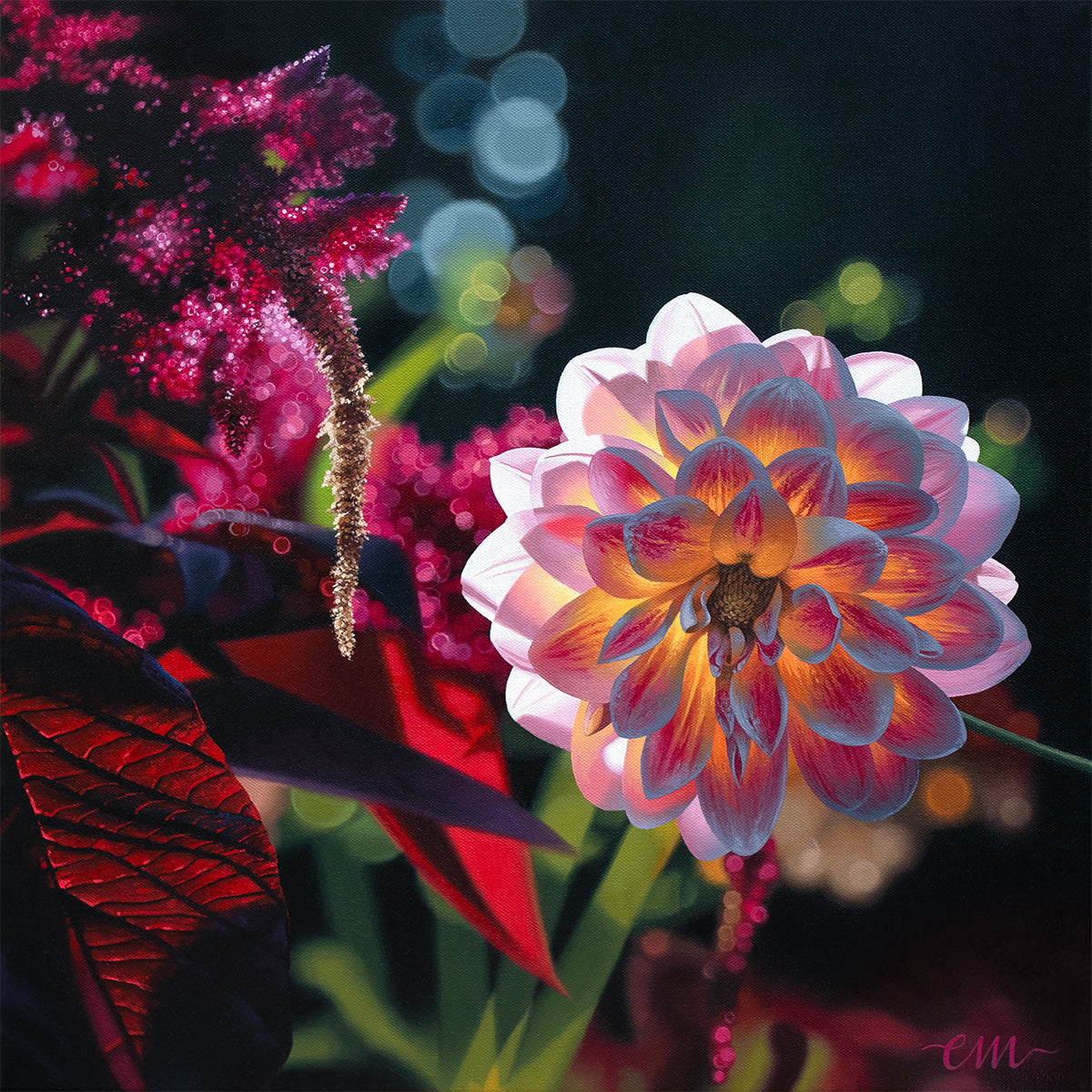 Dahlia Afterglow